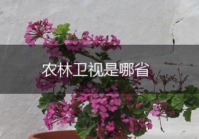农林卫视是哪省