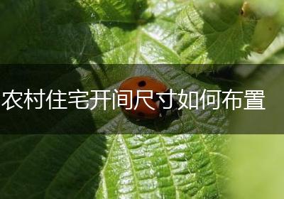 农村住宅开间尺寸如何布置