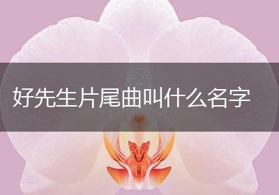 好先生片尾曲叫什么名字