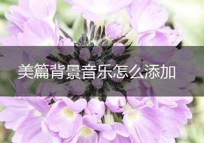 美篇背景音乐怎么添加