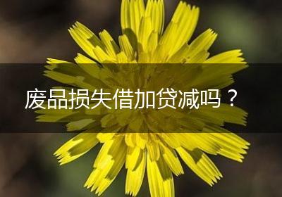 废品损失借加贷减吗？