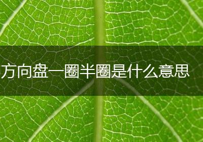 方向盘一圈半圈是什么意思