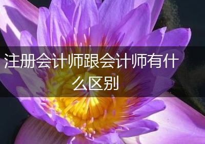 注册会计师跟会计师有什么区别