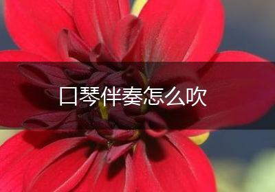 口琴伴奏怎么吹