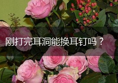 刚打完耳洞能换耳钉吗？