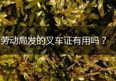 劳动局发的叉车证有用吗？