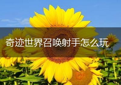 奇迹世界召唤射手怎么玩