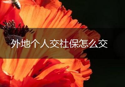 外地个人交社保怎么交