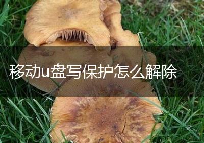 移动u盘写保护怎么解除