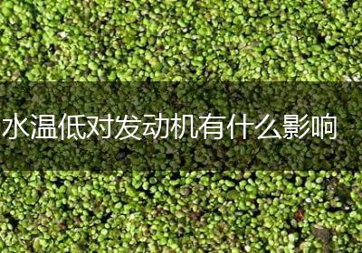 水温低对发动机有什么影响