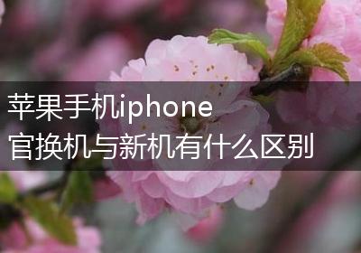 苹果手机iphone 官换机与新机有什么区别