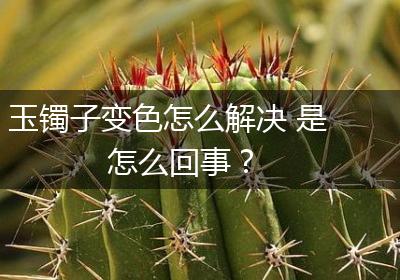 玉镯子变色怎么解决 是怎么回事？