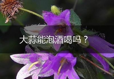 大蒜能泡酒喝吗？