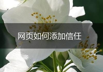 网页如何添加信任