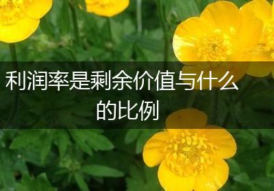 利润率是剩余价值与什么的比例