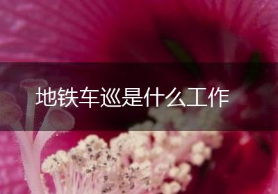 地铁车巡是什么工作
