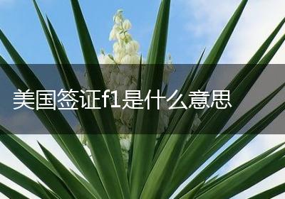 美国签证f1是什么意思