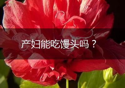 产妇能吃馒头吗？