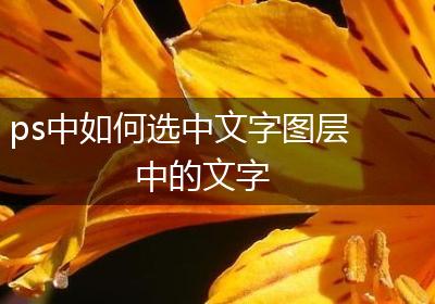 ps中如何选中文字图层中的文字