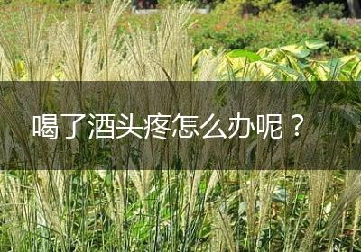 喝了酒头疼怎么办呢？