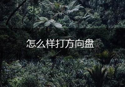 怎么样打方向盘