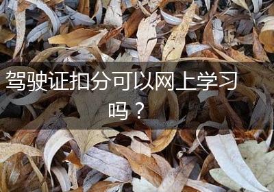 驾驶证扣分可以网上学习吗？