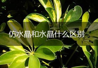 仿水晶和水晶什么区别