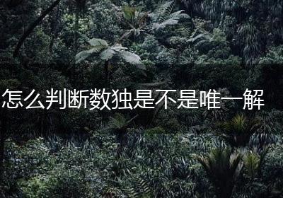 怎么判断数独是不是唯一解