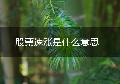 股票速涨是什么意思