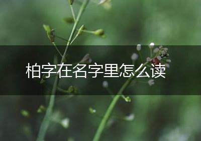 柏字在名字里怎么读