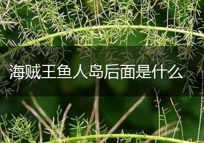 海贼王鱼人岛后面是什么