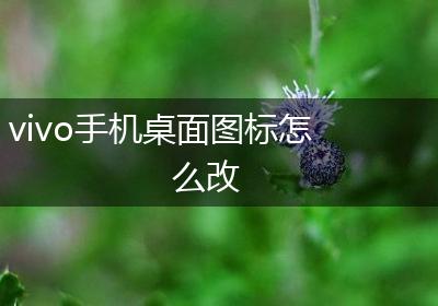 vivo手机桌面图标怎么改