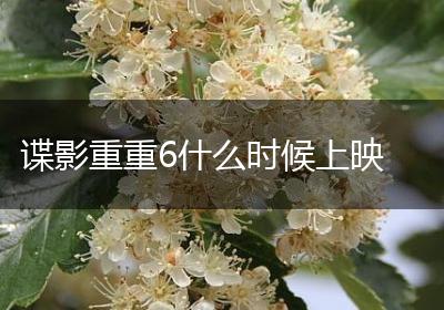 谍影重重6什么时候上映
