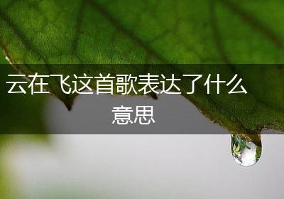 云在飞这首歌表达了什么意思