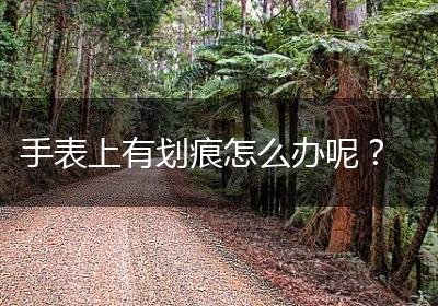 手表上有划痕怎么办呢？
