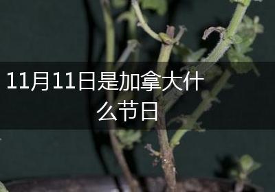 11月11日是加拿大什么节日