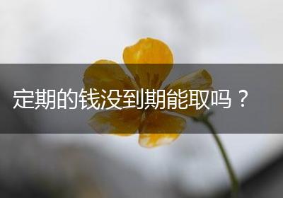 定期的钱没到期能取吗？