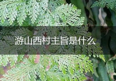 游山西村主旨是什么