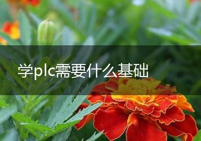 学plc需要什么基础