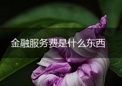 金融服务费是什么东西