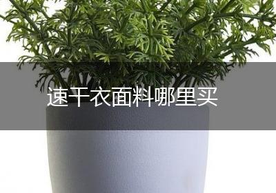 速干衣面料哪里买