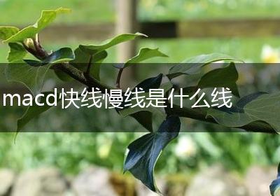 macd快线慢线是什么线