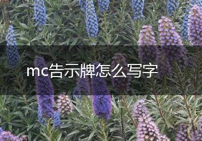 mc告示牌怎么写字