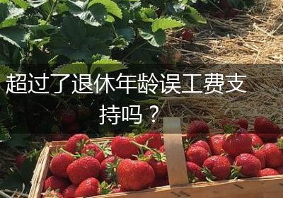 超过了退休年龄误工费支持吗？
