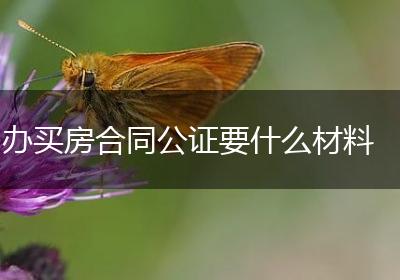 办买房合同公证要什么材料