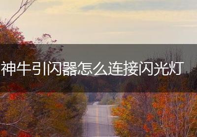 神牛引闪器怎么连接闪光灯