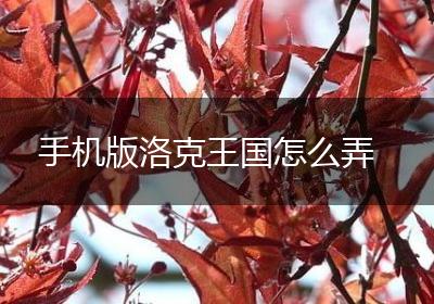 手机版洛克王国怎么弄