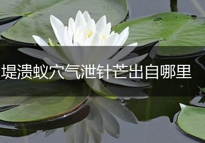 堤溃蚁穴气泄针芒出自哪里