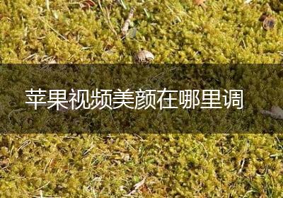 苹果视频美颜在哪里调