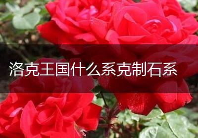 洛克王国什么系克制石系